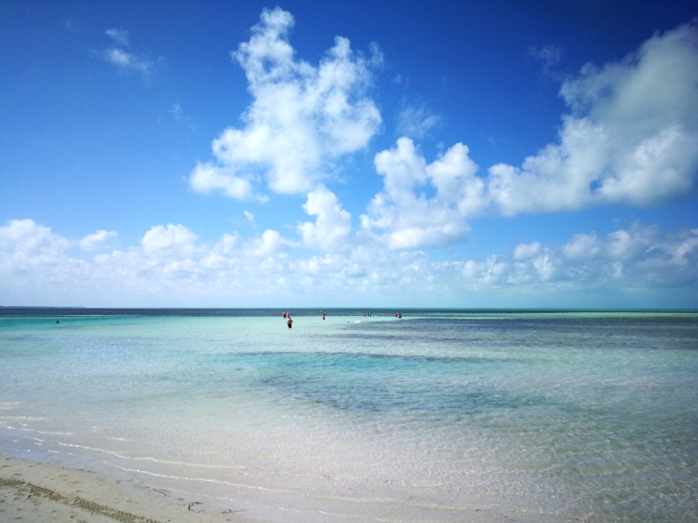Karibian risteilyllä CocoCay kahlaamassa meressä