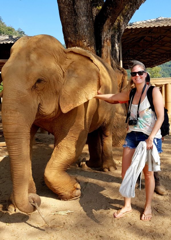Elephant Nature Park –  ikimuistoinen päivä elefanttien kanssa