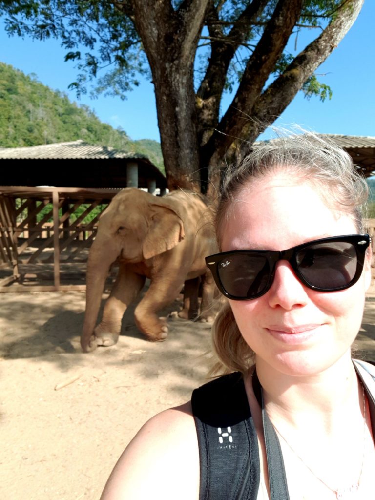 Katsomassa elefantteja Chiang Maissa