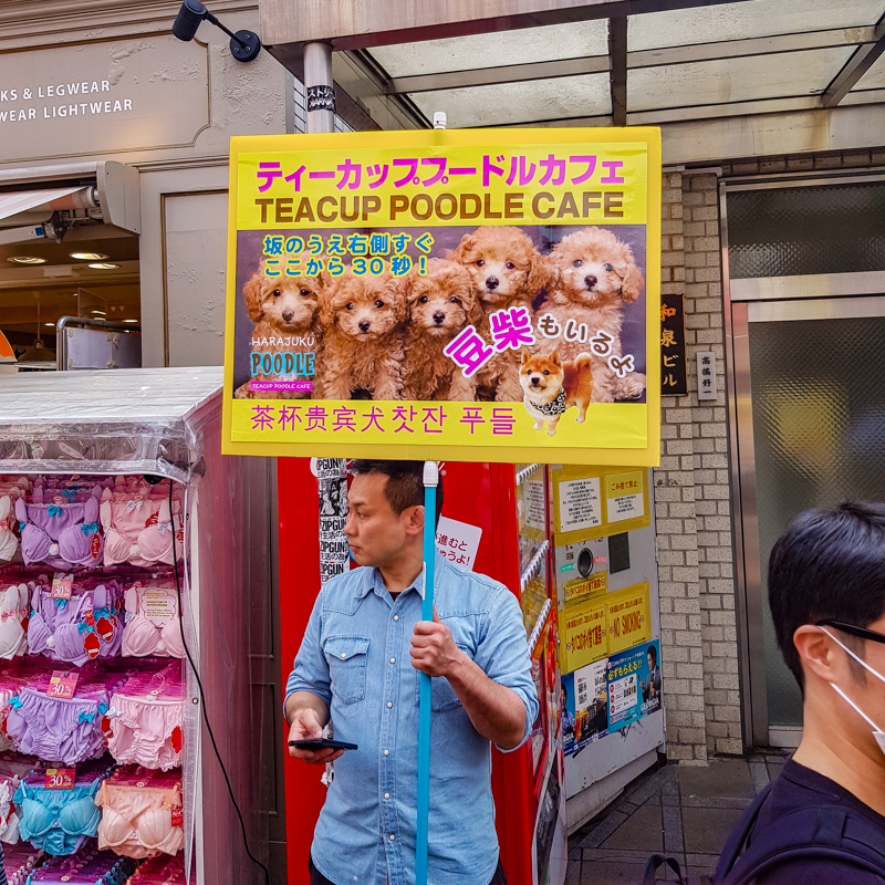 Tokion Harajuku puudelikahvila