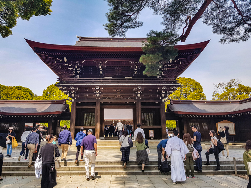 Tekemistä Shibuyassa Meiji jungu temppeli