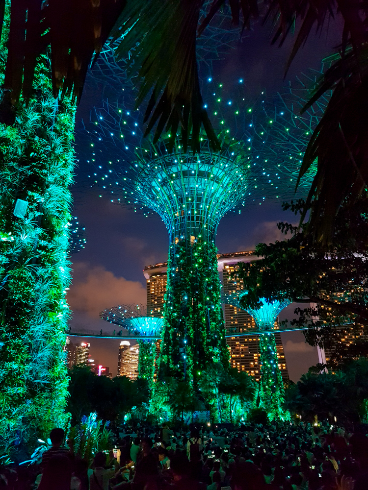 Singapore nähtävyydet gardens by the bay