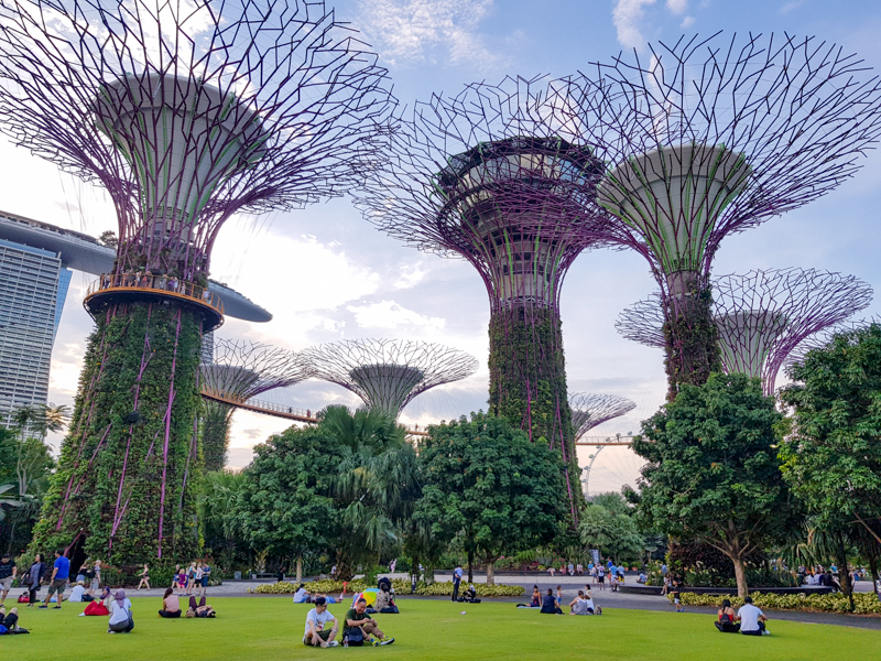 Singapore nähtävyydet Gardens by the bay 