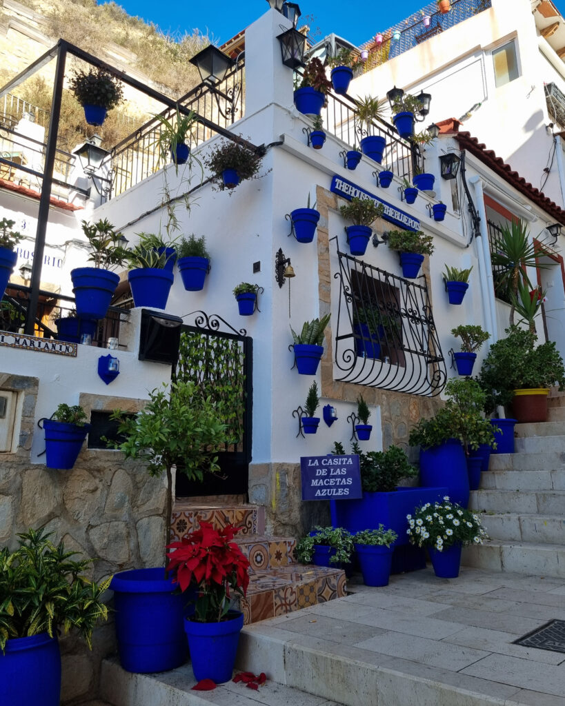 Santa Creun kaupunginosan valkoinen talo sinisillä kukkaruukuilla