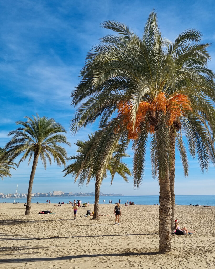 Playa Postiguet Alicantessa